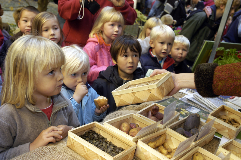 Pre primary And Comprehensive Education In Finland Nordic Cooperation